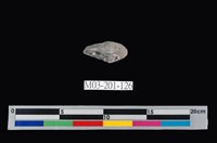 藏品(水晶)的圖片